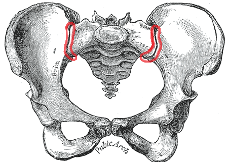 Sacroiliac joint (from Wikipedia)
