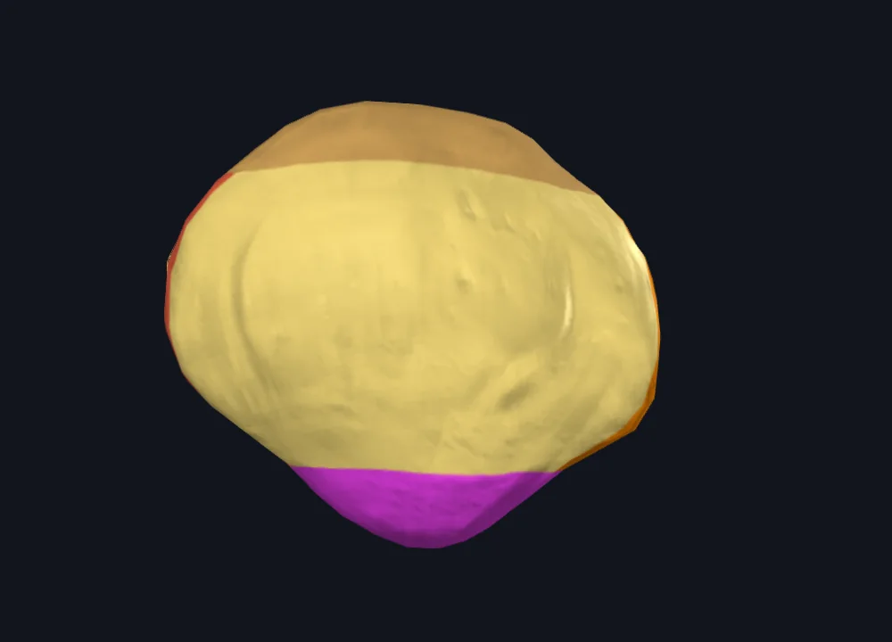 Apex of Patella
