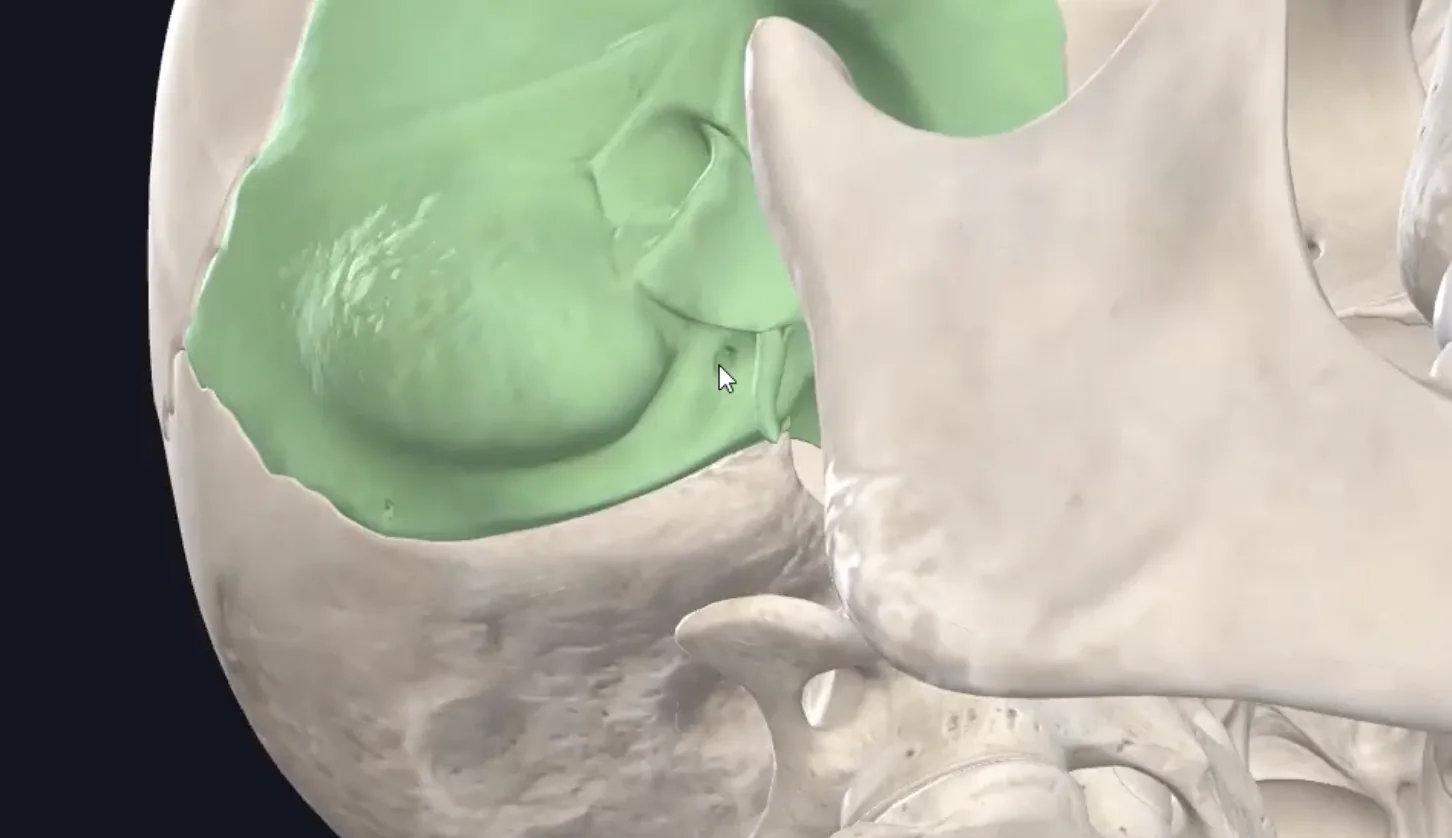 Stylomastoid foramen