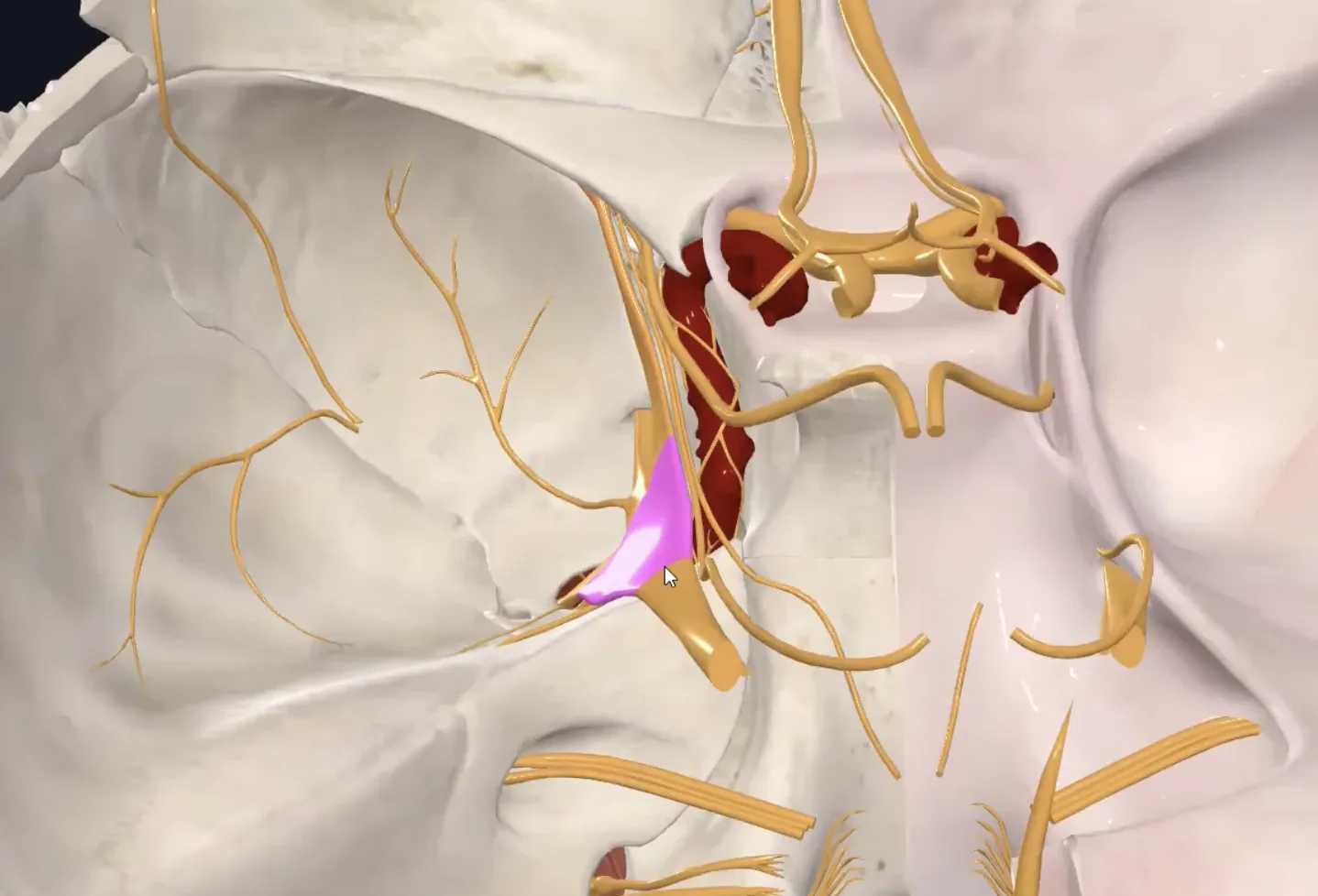 Trigeminal ganglion