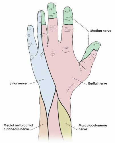 from https://musculoskeletalkey.com/digital-nerve-injury/