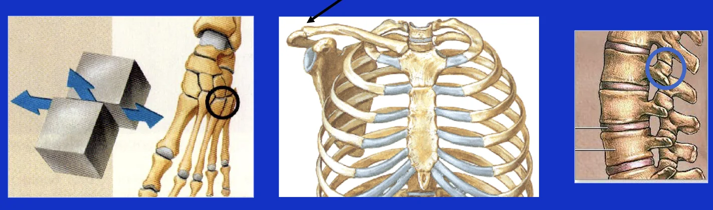 Planar Joint