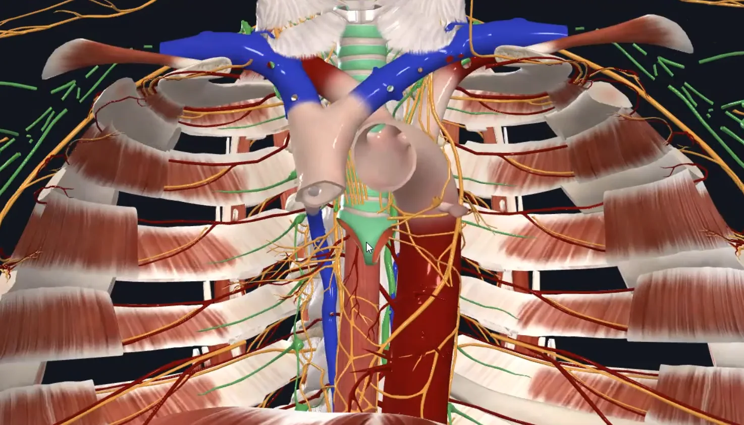 Tracheal Caritages