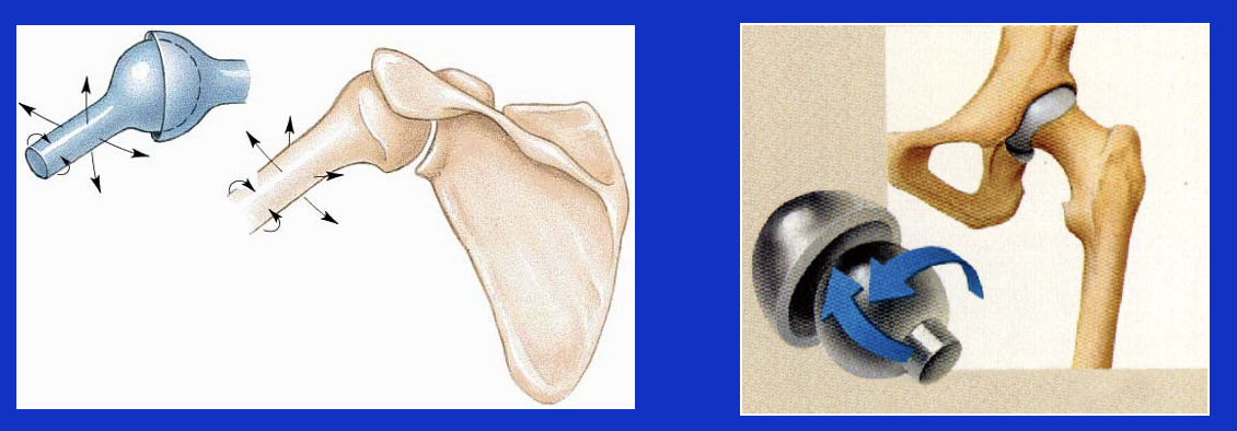 Ball and Socket Joint