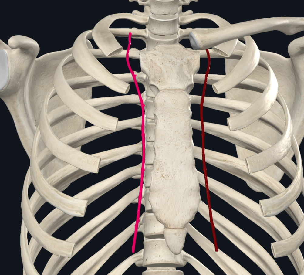 Internal Thoracic Artery (Right)
