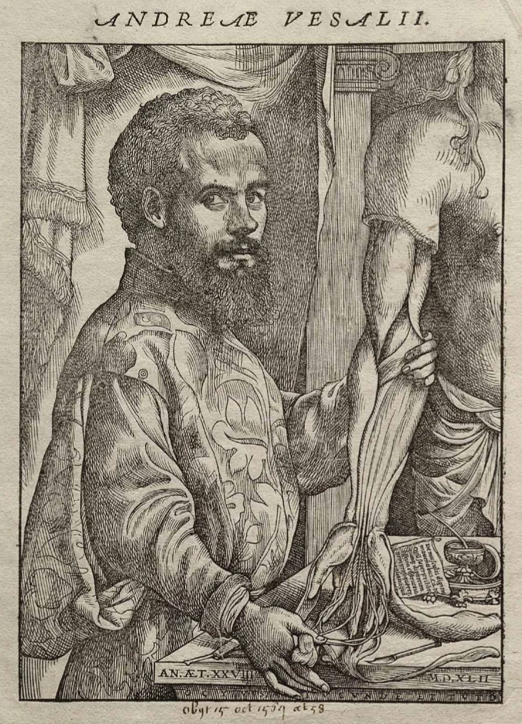 Portrait of Vesalius from his De humani corporis fabrica.