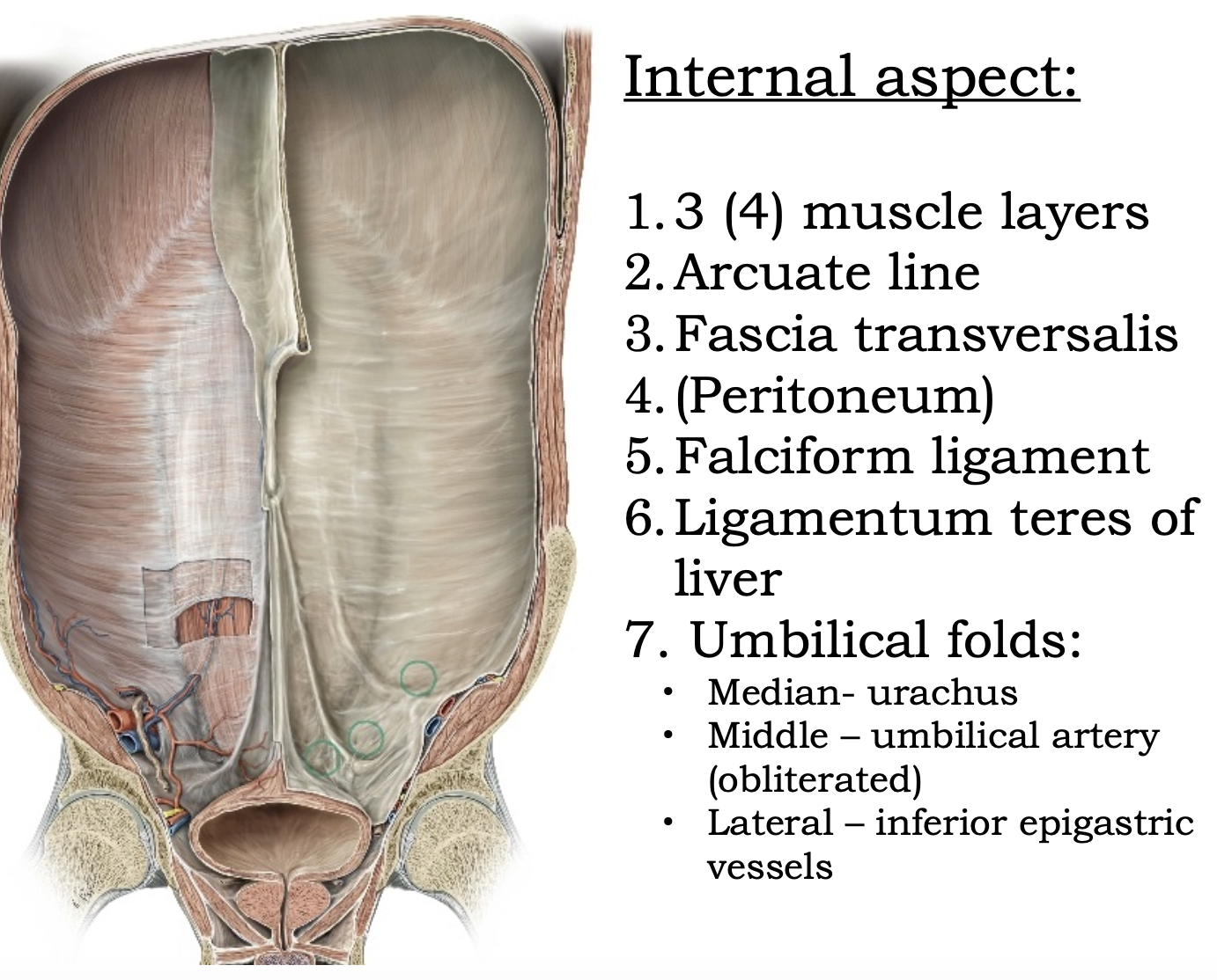 Internal aspect