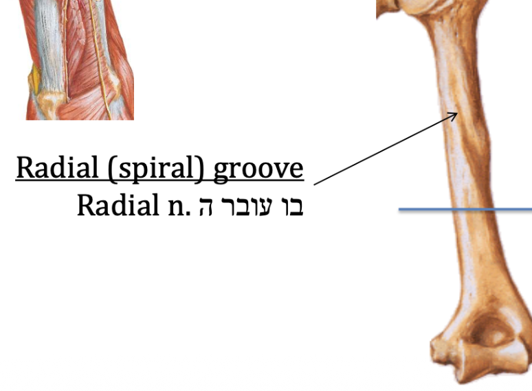 Radial (spiral) groove