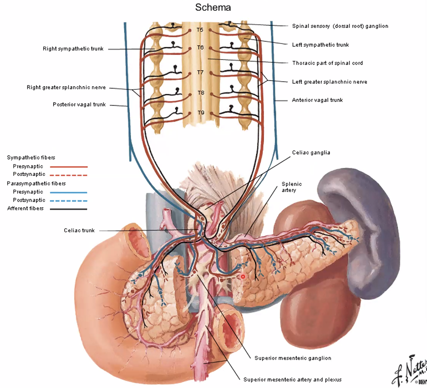 עצבוב טחול לבלבל - אותו רעיון