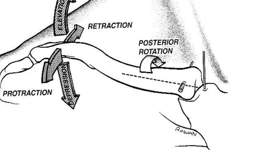 Posterior Rotation
