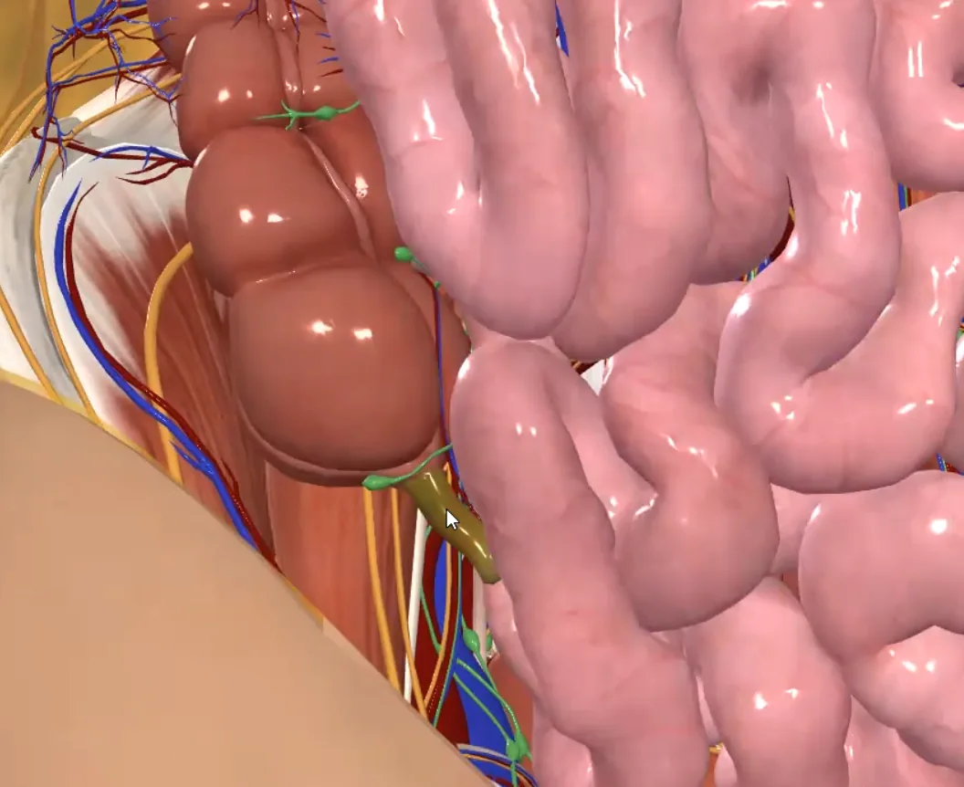 Appendix