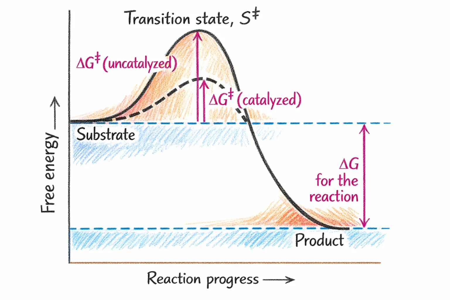 Transition State