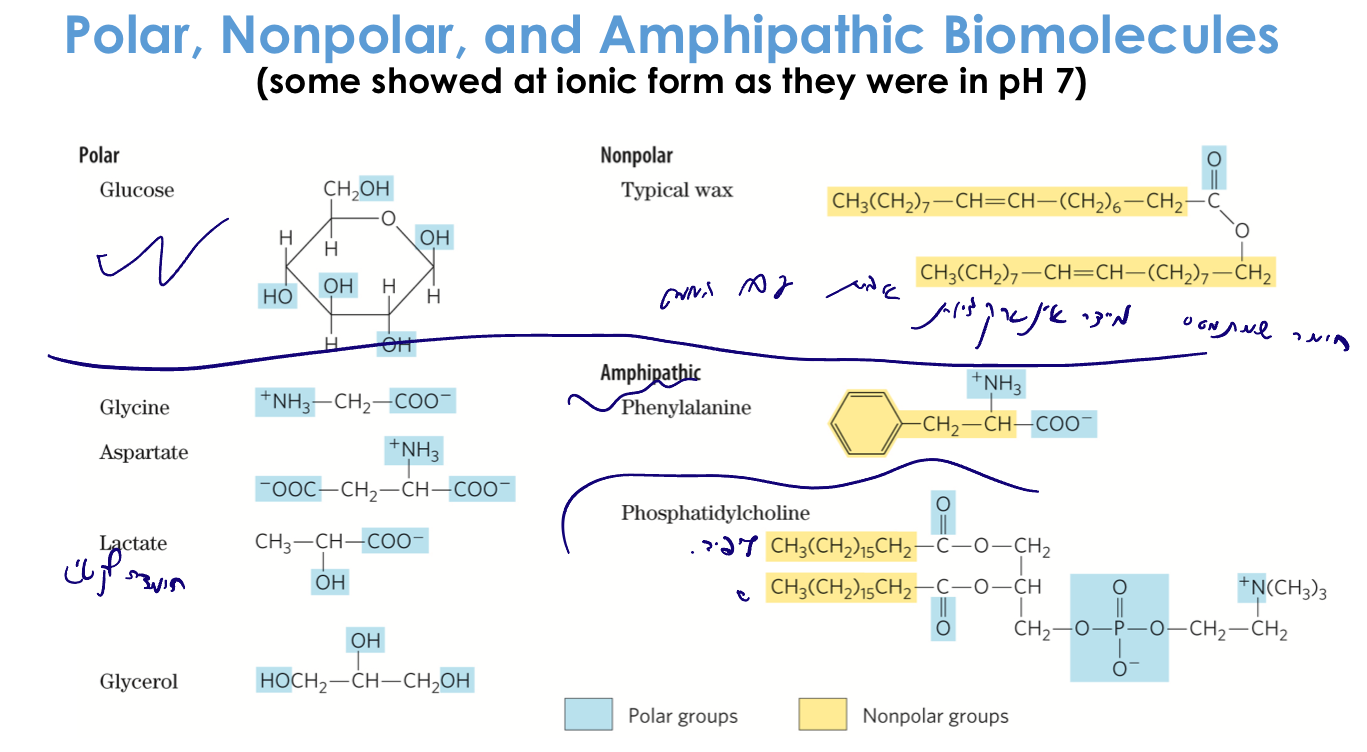Polar, Nonpolar and Amphipathic Biomolecules