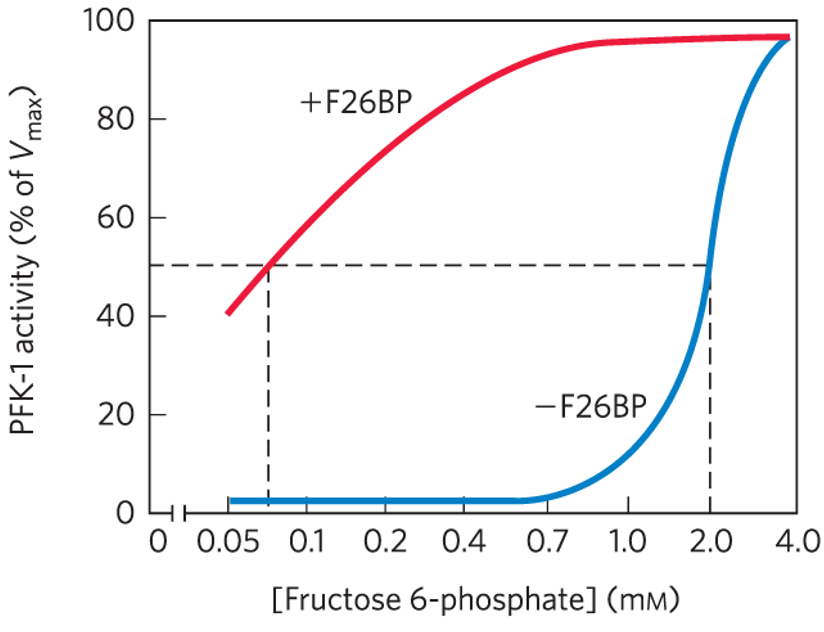 Fructose 2,6-bisphosphate