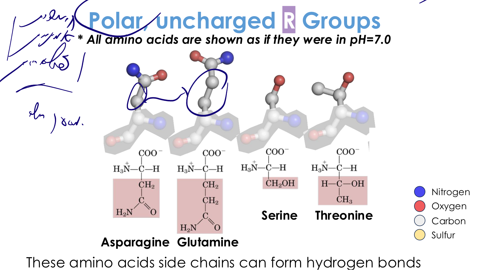 Polar, uncharged R Groups
