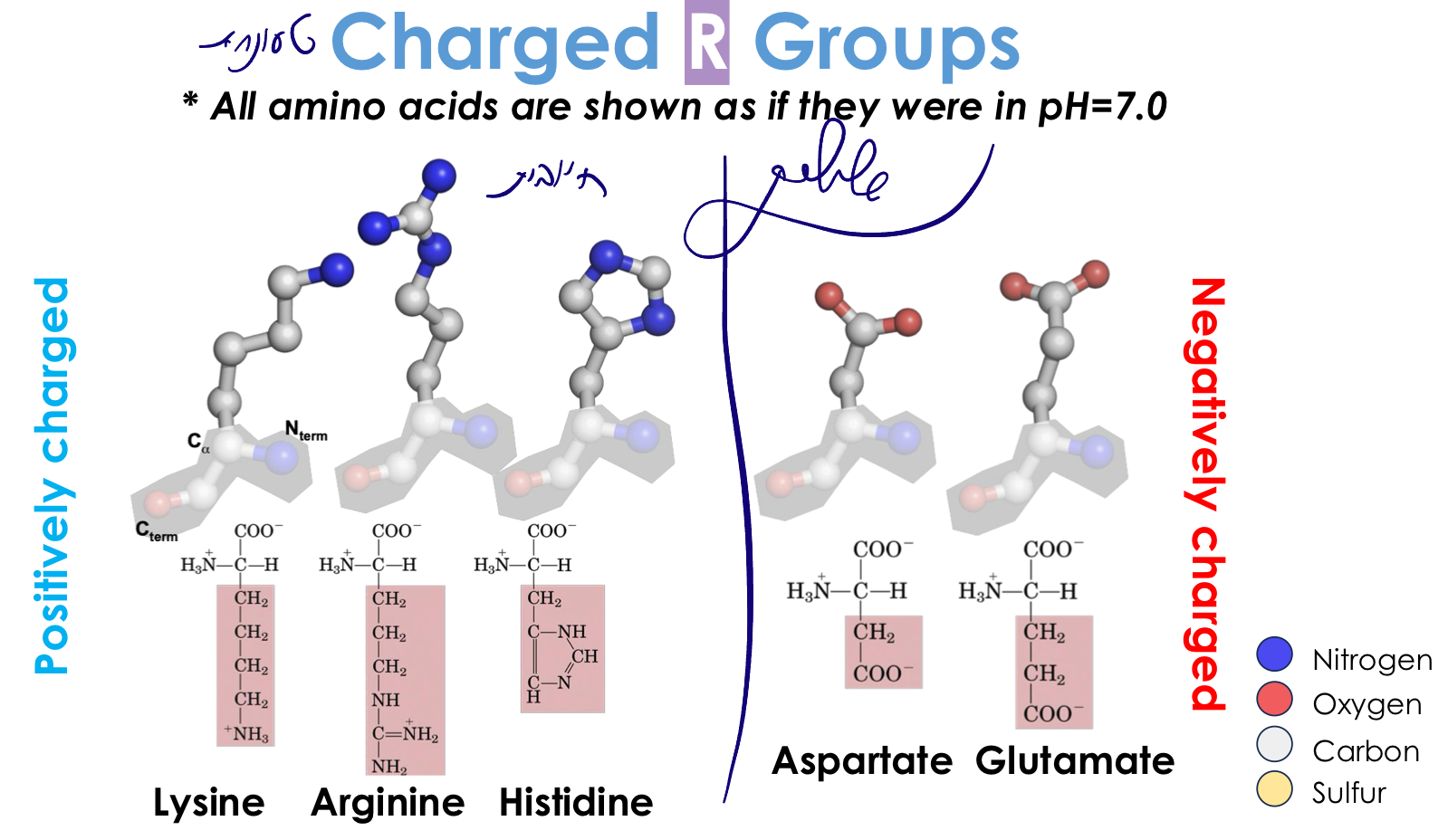 Charged R Groups