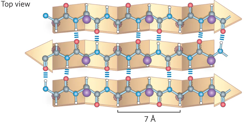 Anti-parallel