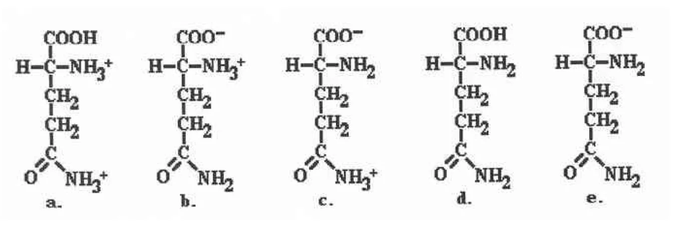 Question 4