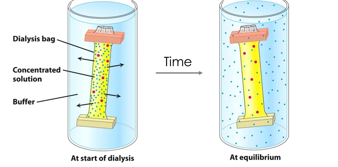 Dialysis