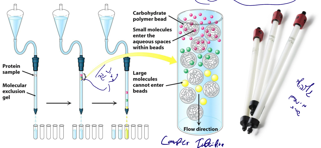 Purification by Size