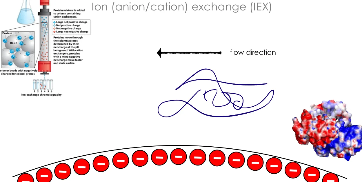 IEX