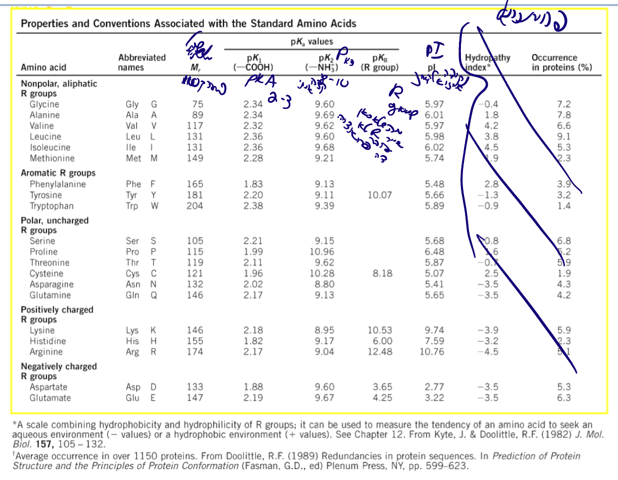 Properties and Conventions of Amino Acids