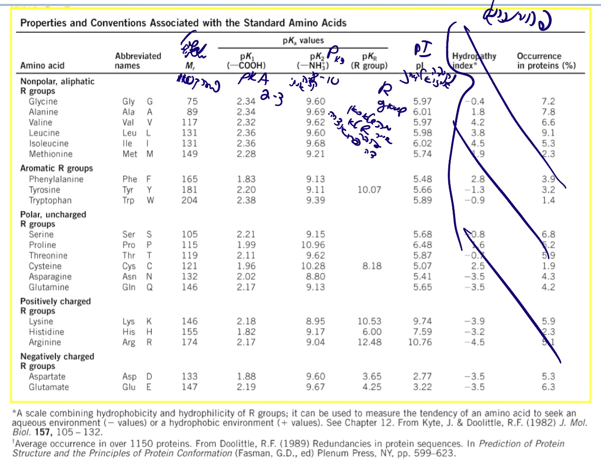 Properties and Conventions of Amino Acids