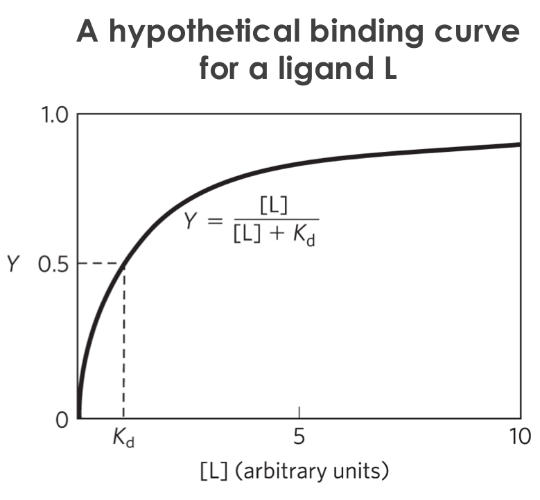 Graphical rep of ligand binding