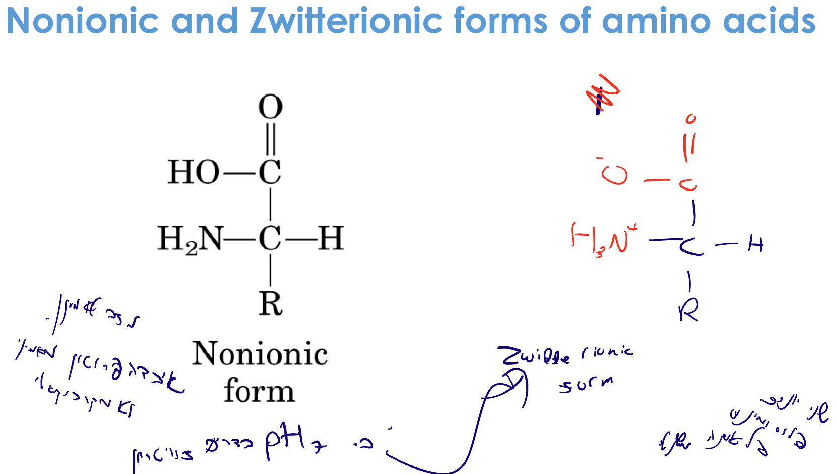 Nonionic and Zwitterionic Forms of Amino Acids