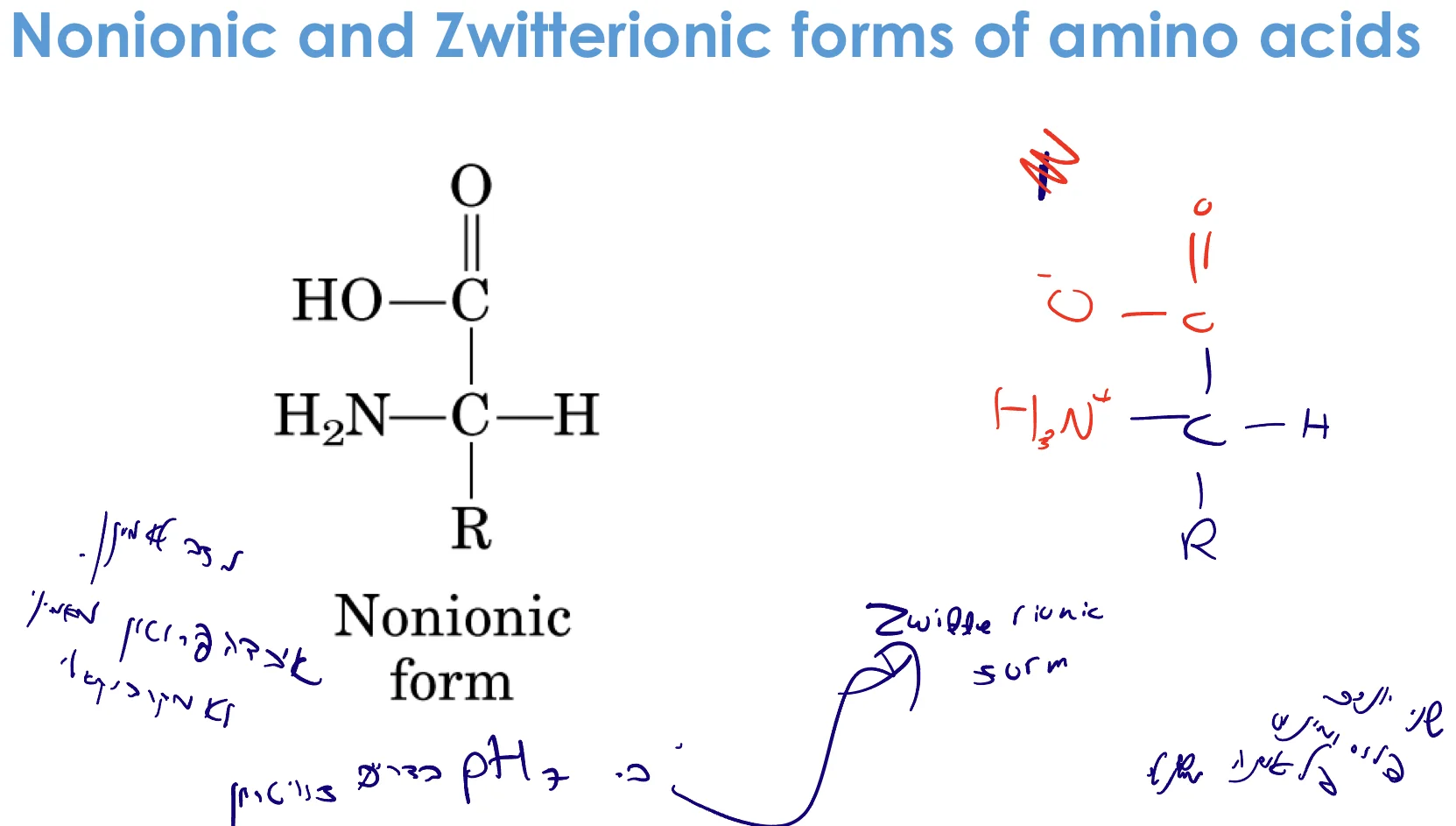 Nonionic and Zwitterionic Forms of Amino Acids