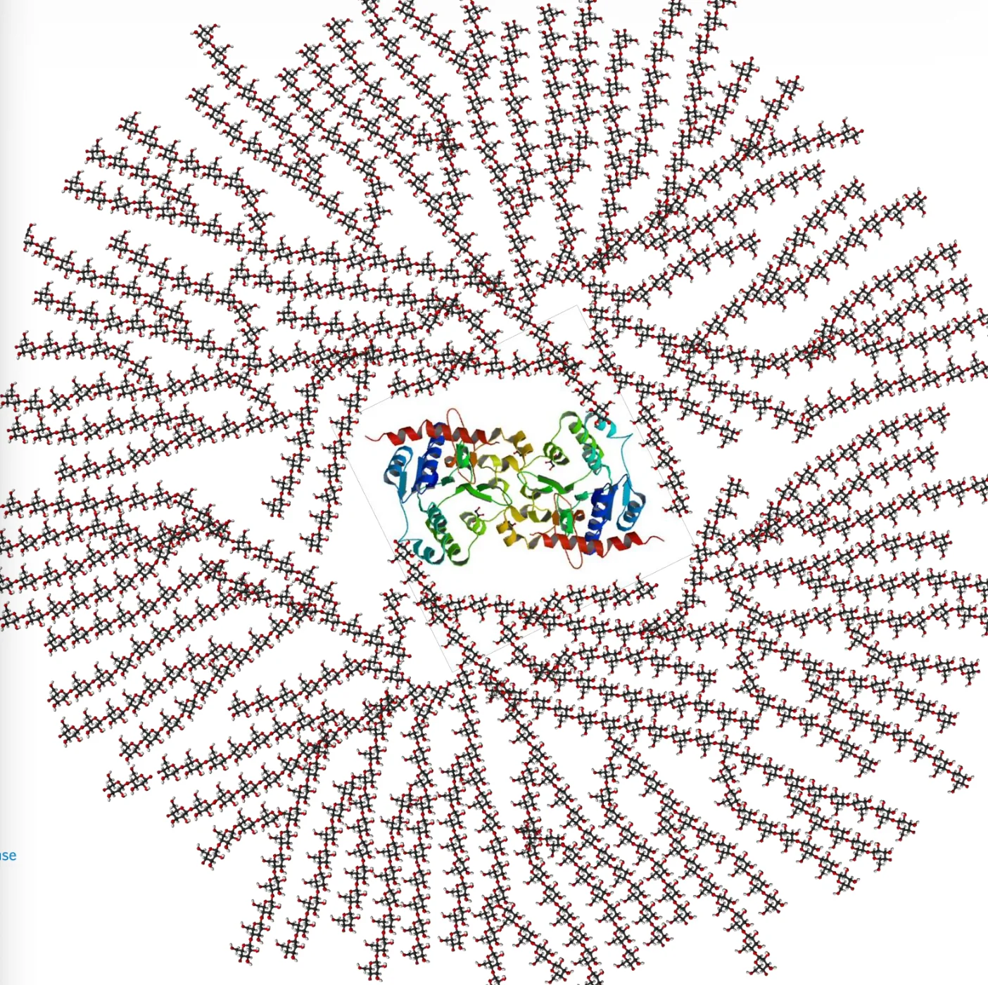 glycogen struct