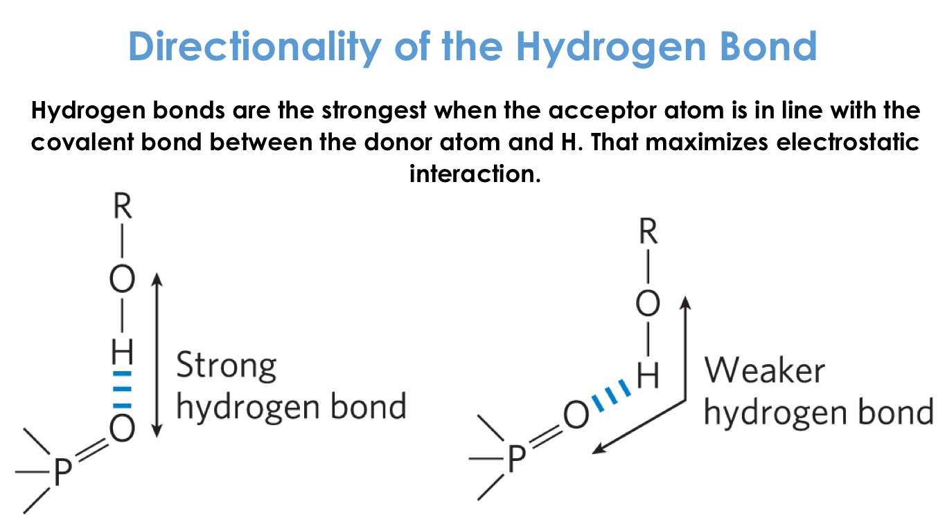 Directionality of the Hydrogen Bond