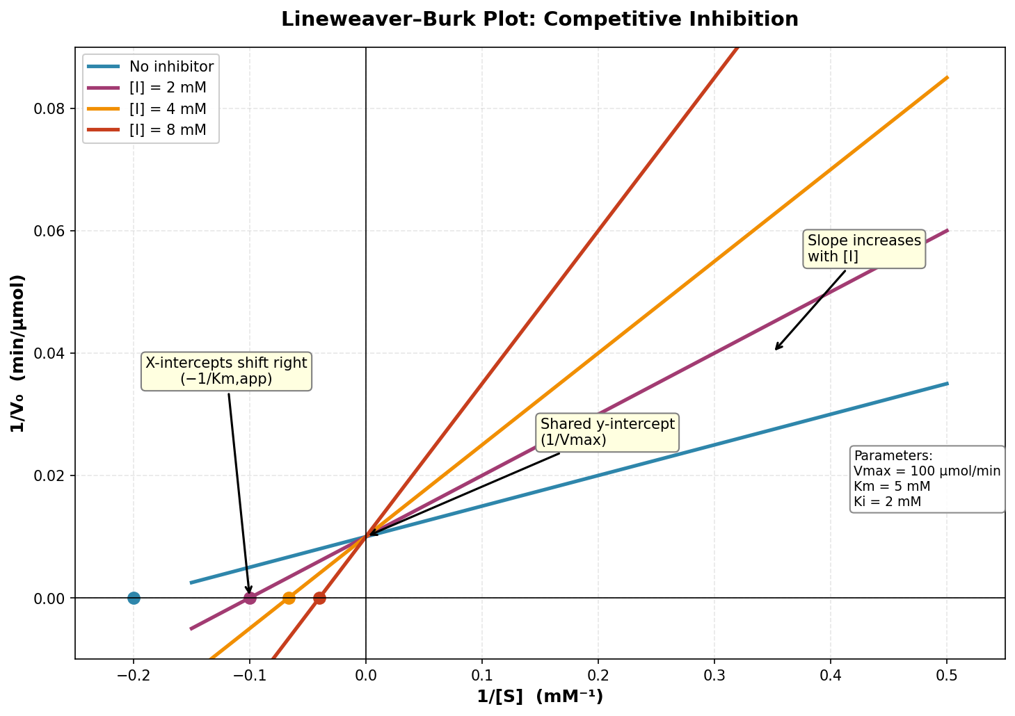 Lineweaver Burk Competitive Inhibition