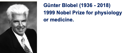Blobel