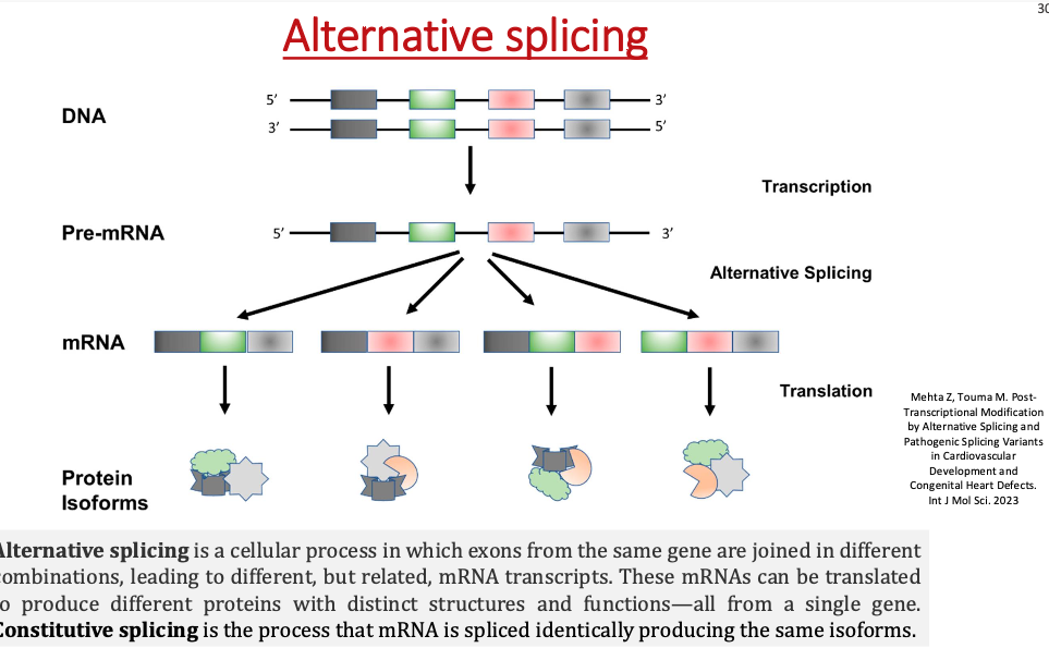 Alternative Splicing