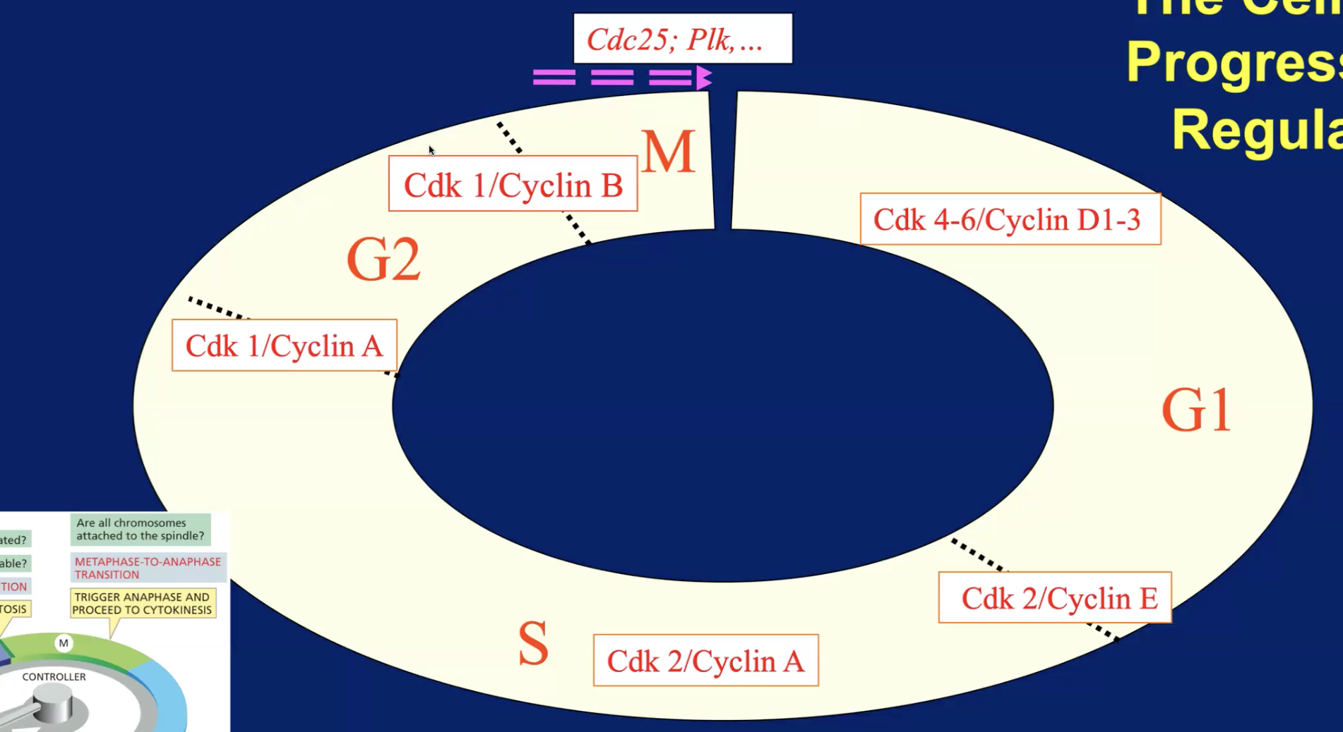 g to m checkpoint