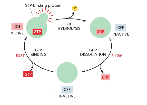 molecular switches