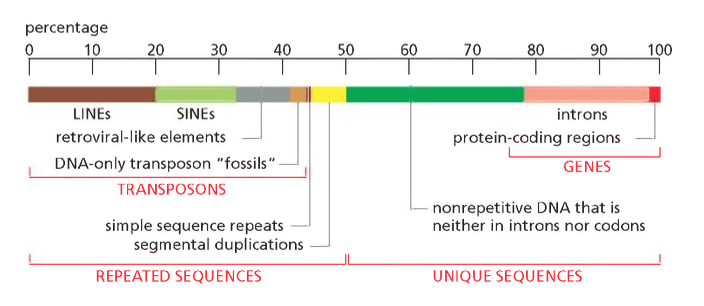 Genome