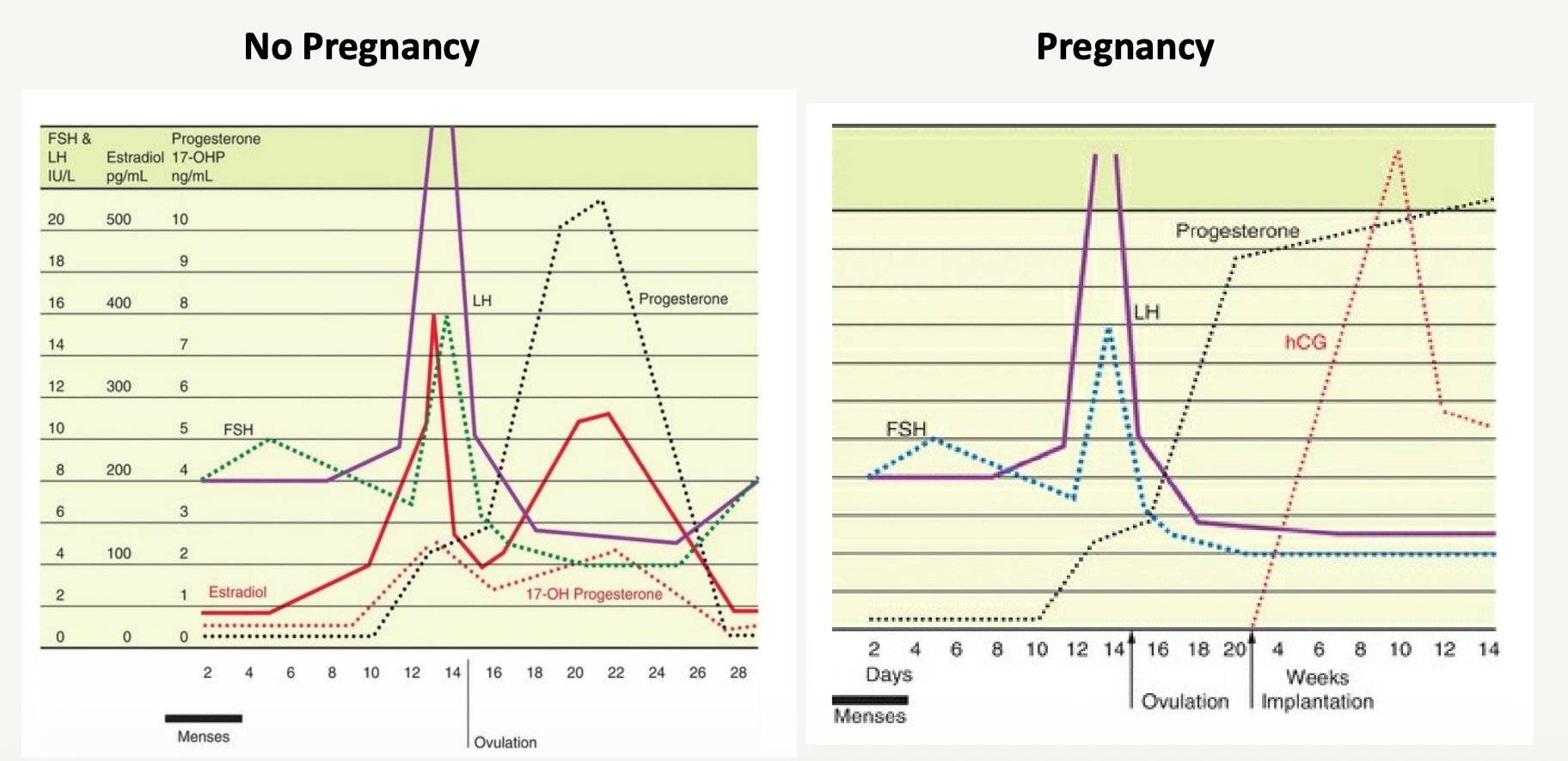 preg-vs-not