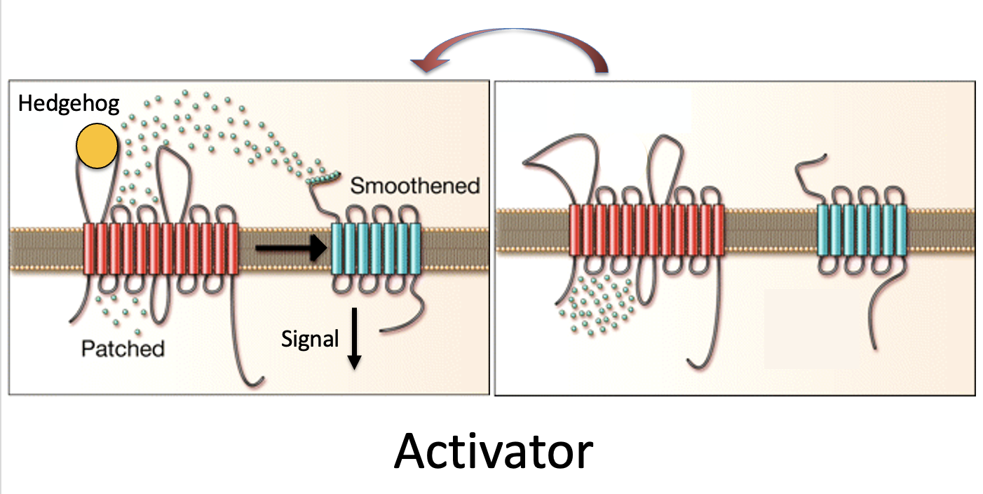 Patched as an exporter