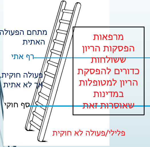 ladder 2