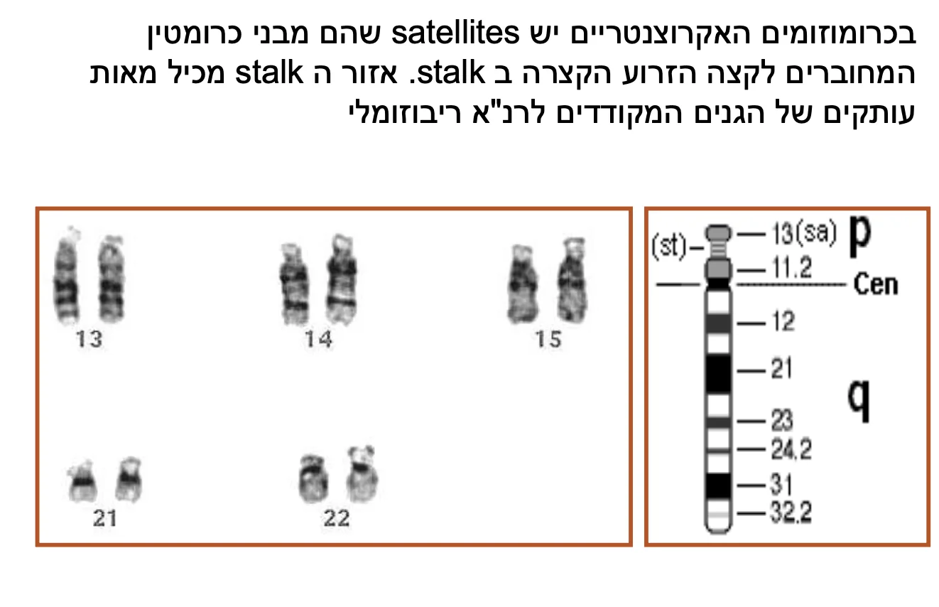satellites