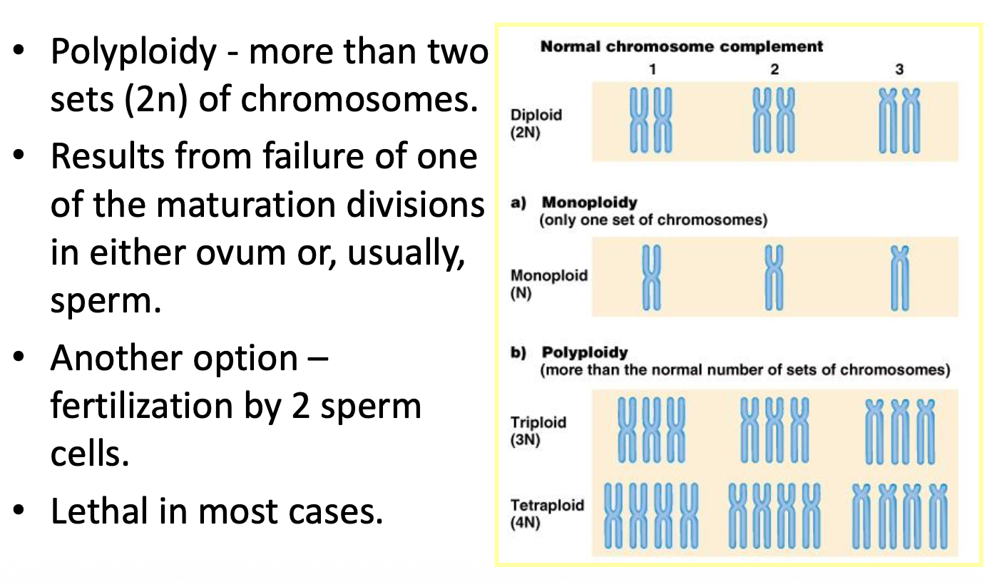 Variation in chromosome number polyploidy
