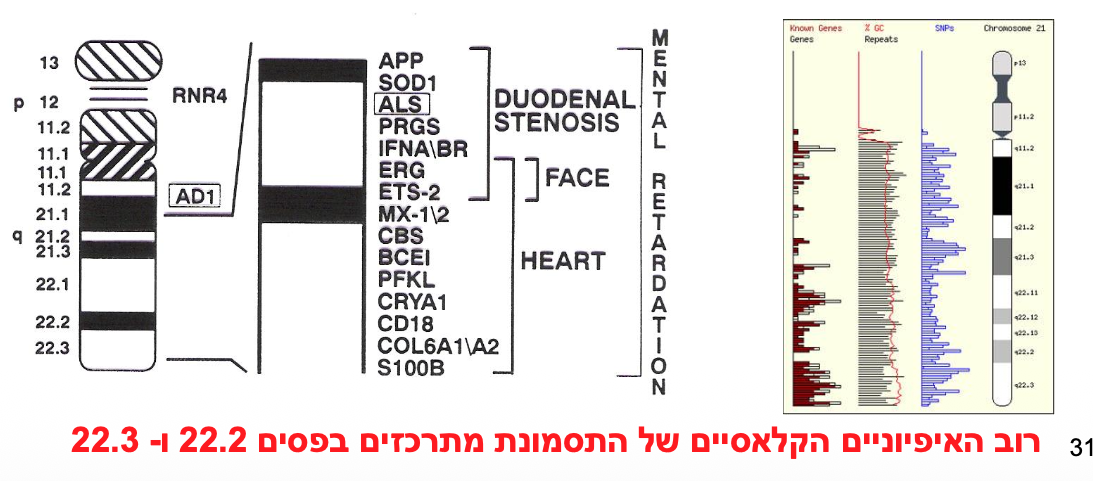 ניתן ללמוד על הקשר בין אזורים מסוימים בכרומוזום ומרכיבים והפנוטיפ