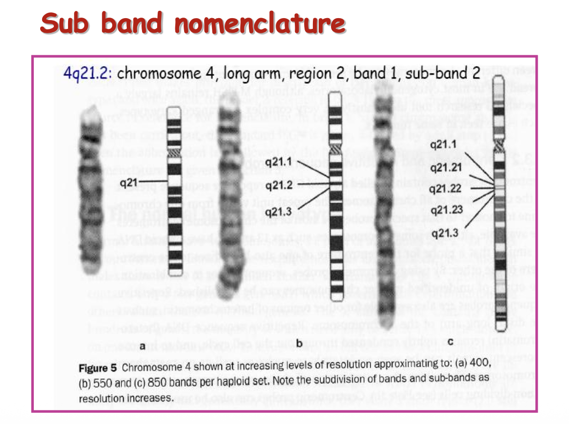 Sub band nomenclature