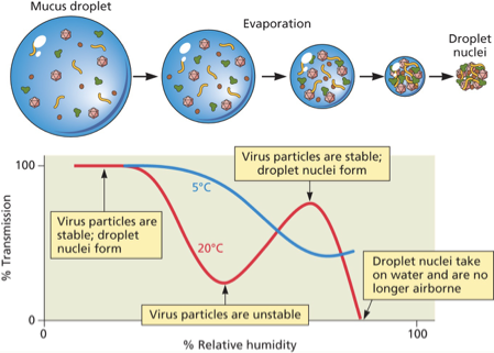 רגישות חלקיקי נגיפים לחום ולחות