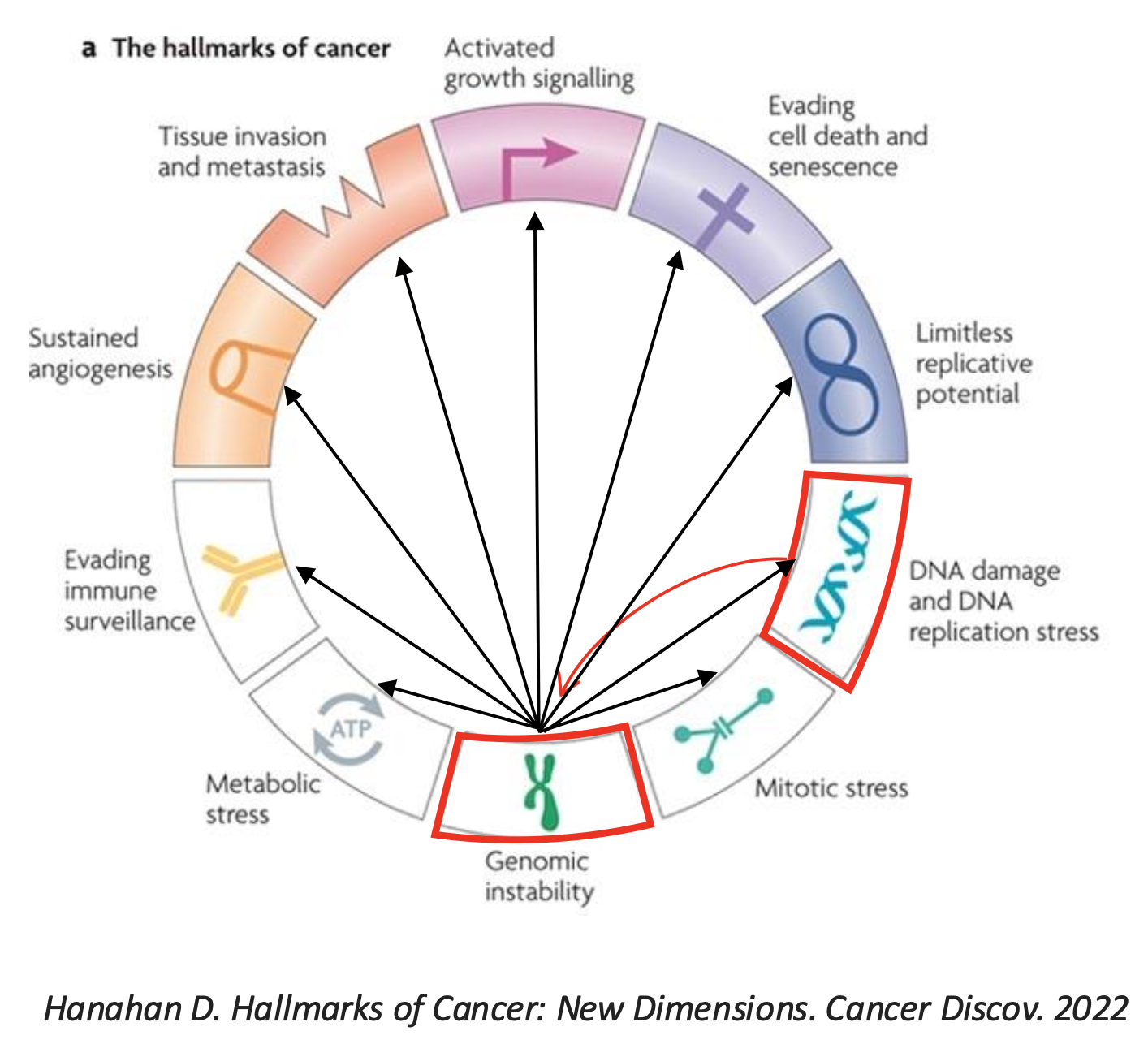 תמונה מתוך Hallmarks of Cancer