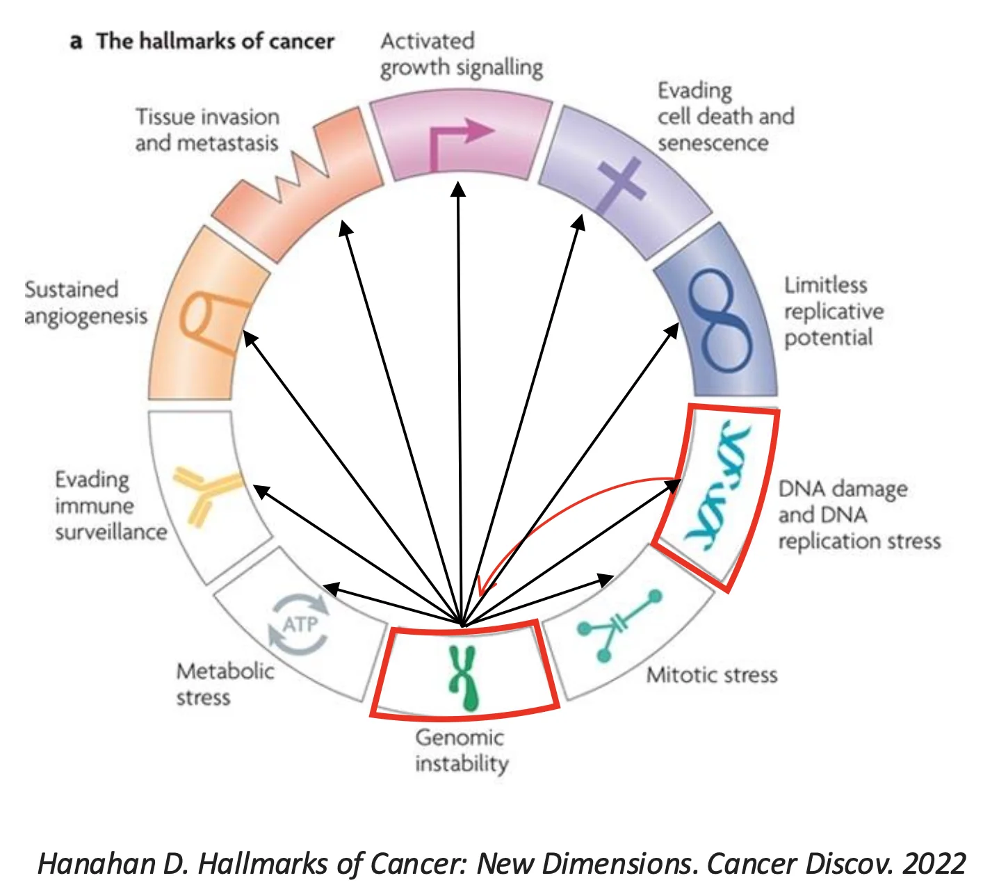 תמונה מתוך Hallmarks of Cancer