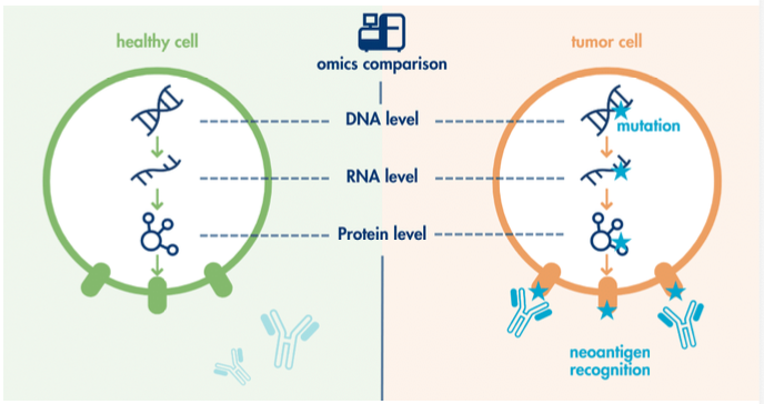 neoantigens