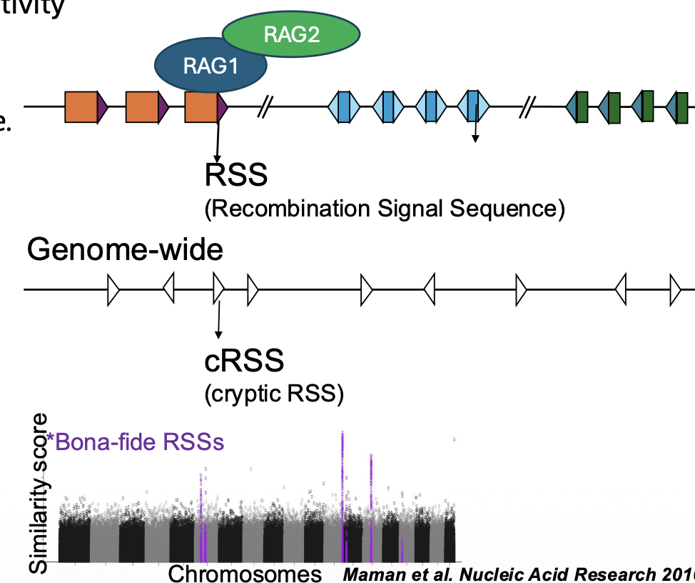 Cryptic RSS